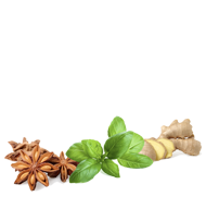 herb-bottom-1-a https://getvitalhealth.net/wp-content/uploads/2020/05/herb-bottom-1-a.png