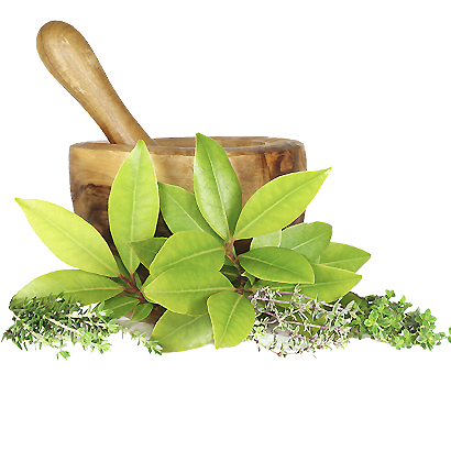 herbs https://getvitalhealth.net/wp-content/uploads/2020/05/herbs.png